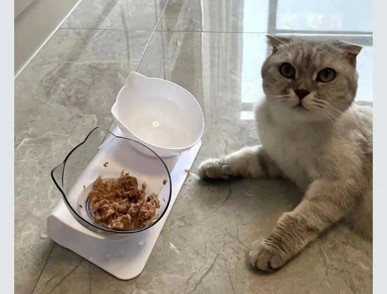 TIGELA DUPLA ANTIDERRAPANTE PARA GATOS