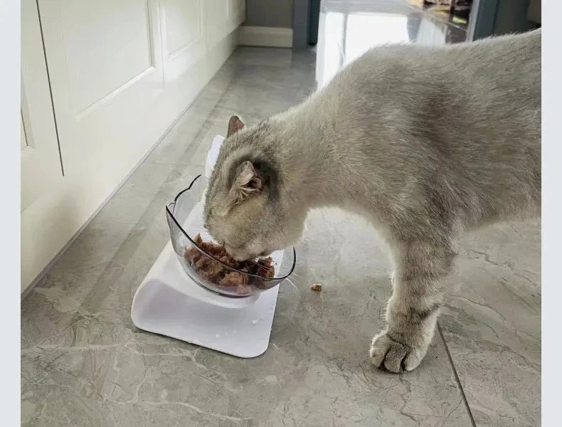 TIGELA DUPLA ANTIDERRAPANTE PARA GATOS