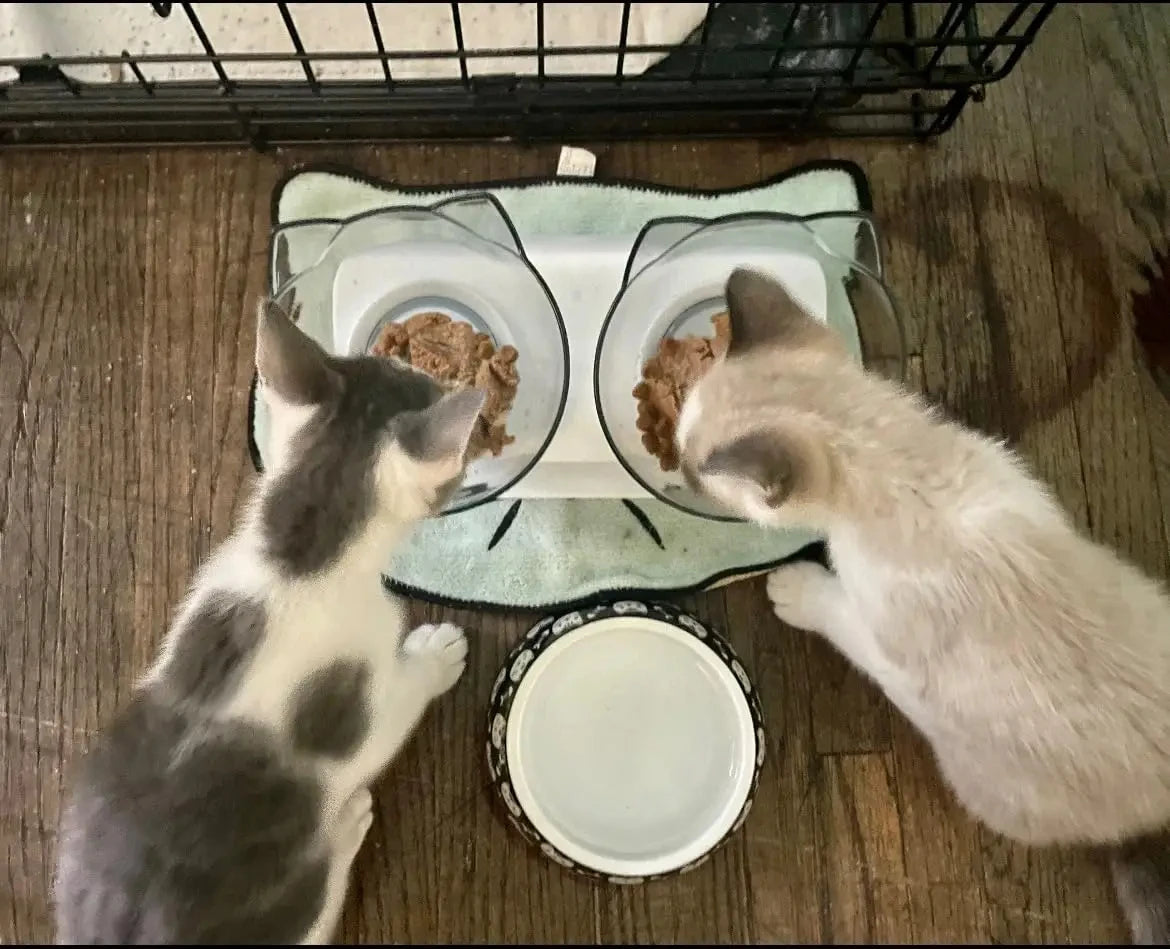 TIGELA DUPLA ANTIDERRAPANTE PARA GATOS